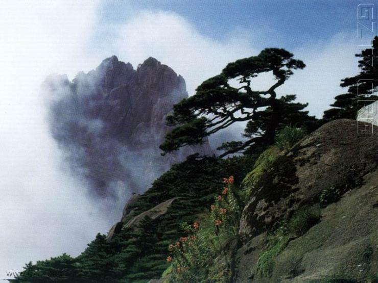 附件：0429huangshan50.jpg