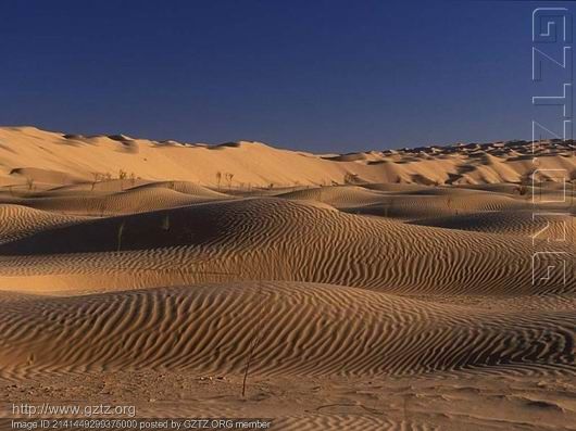 附件:撒哈拉沙漠.jpg