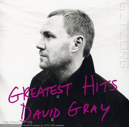 附件:David Gray.jpg