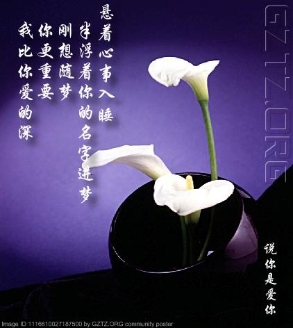 附件：8.jpg