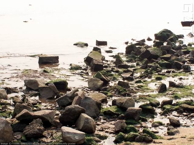 附件：海边的一堆石头.jpg