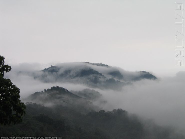 附件：台湾 104阿里山.jpg