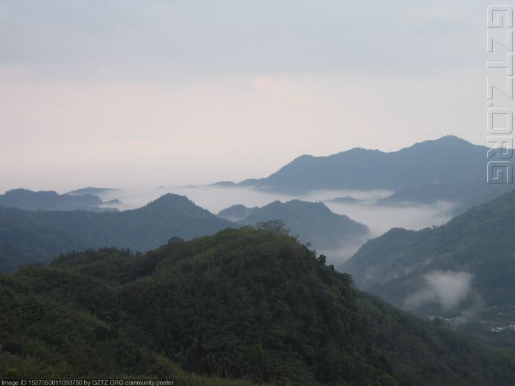 附件：台湾 111阿里山.jpg