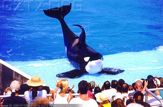 附件：shamu-3.jpg