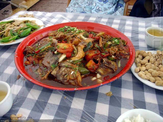 附件：fish.JPG