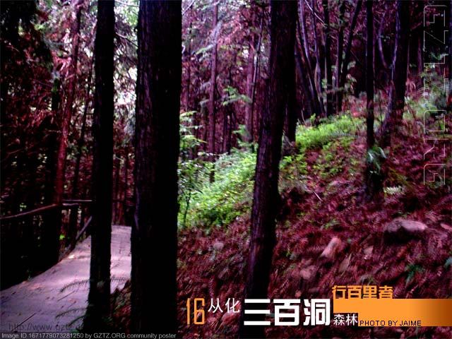 附件：016.jpg