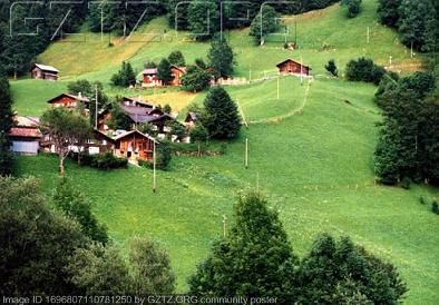 附件：Grass land in Grindelwald(Switzerland).JPG
