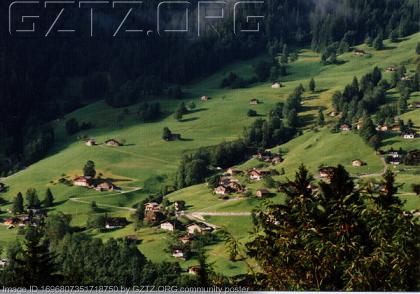 附件：Grass land in Grindelwald(Switzerland)2.JPG