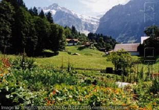 附件：Grass land under Mountain Wetterhorm(Grindelwald,Swizerland).JPG