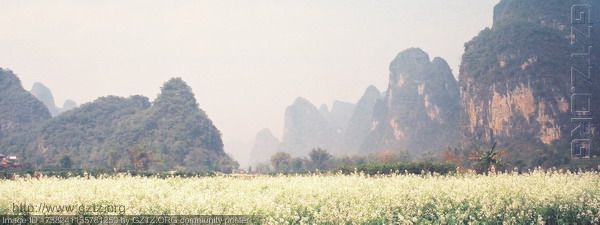 附件：花神留我看斜阳，放起鳞鳞细浪.jpg