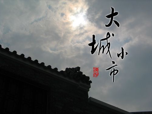 附件：back.jpg