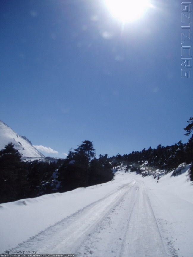 附件：雪地行.jpg