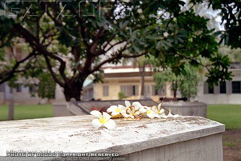 附件：cambodia-59.jpg